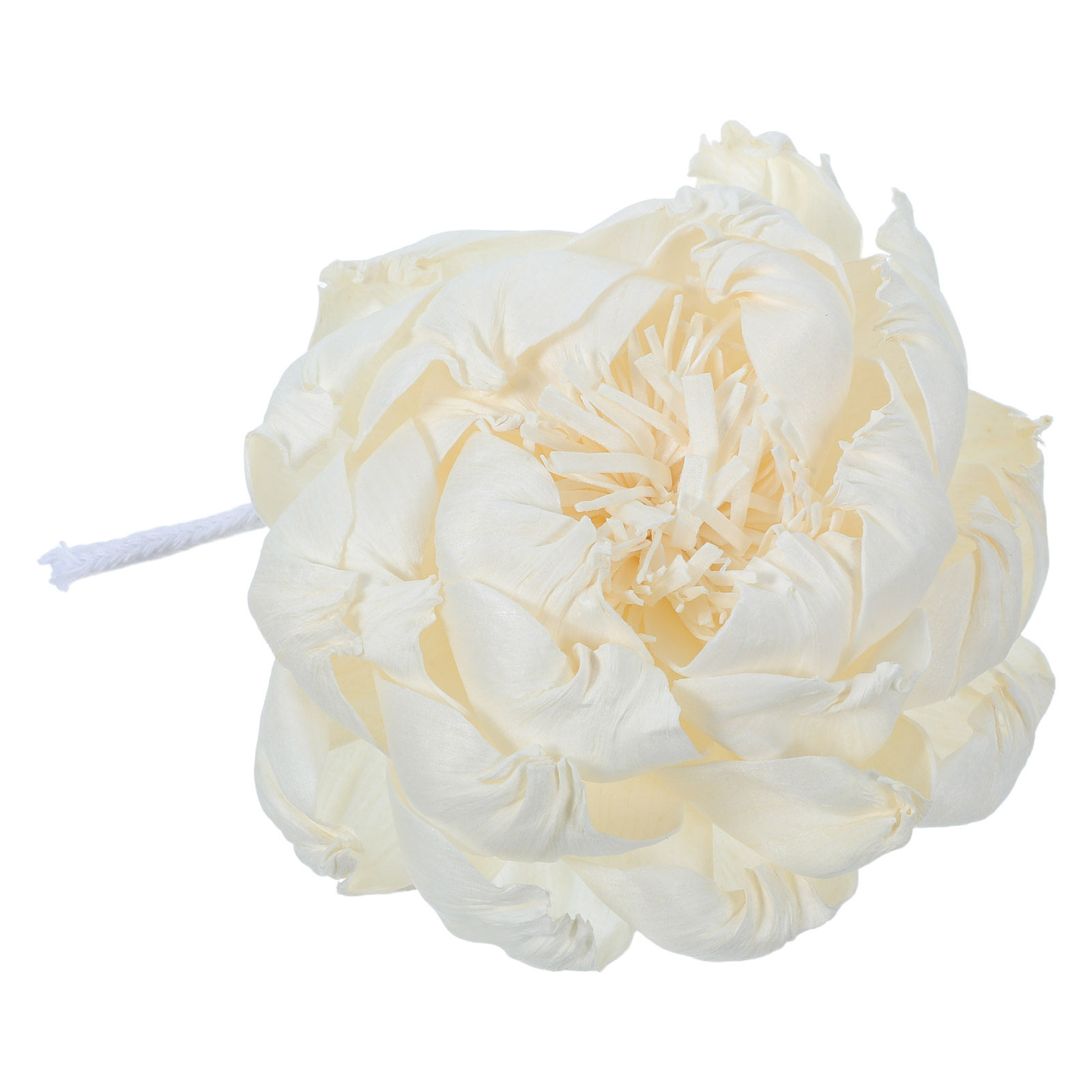Peony Head Fragrance Diffuser  - Home Fragrance And Diffuser review and price