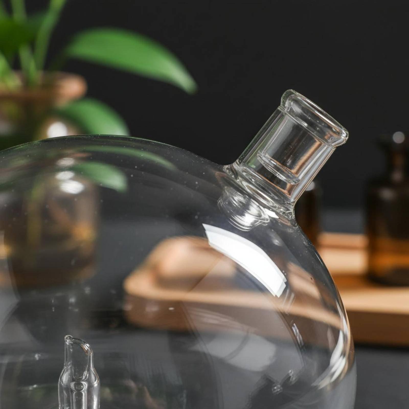 Diffuser Bottle Universal Fit  - Home Fragrance And Diffuser review and price